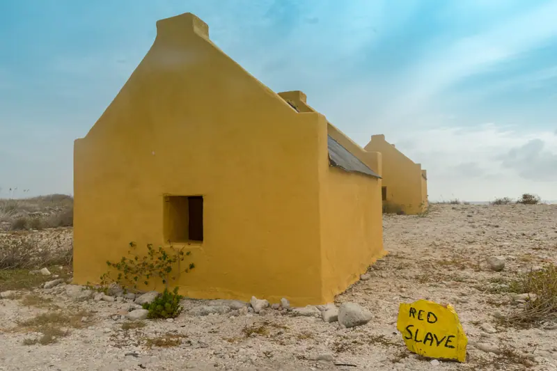 Bonaire Red Slave Huts Dive Site