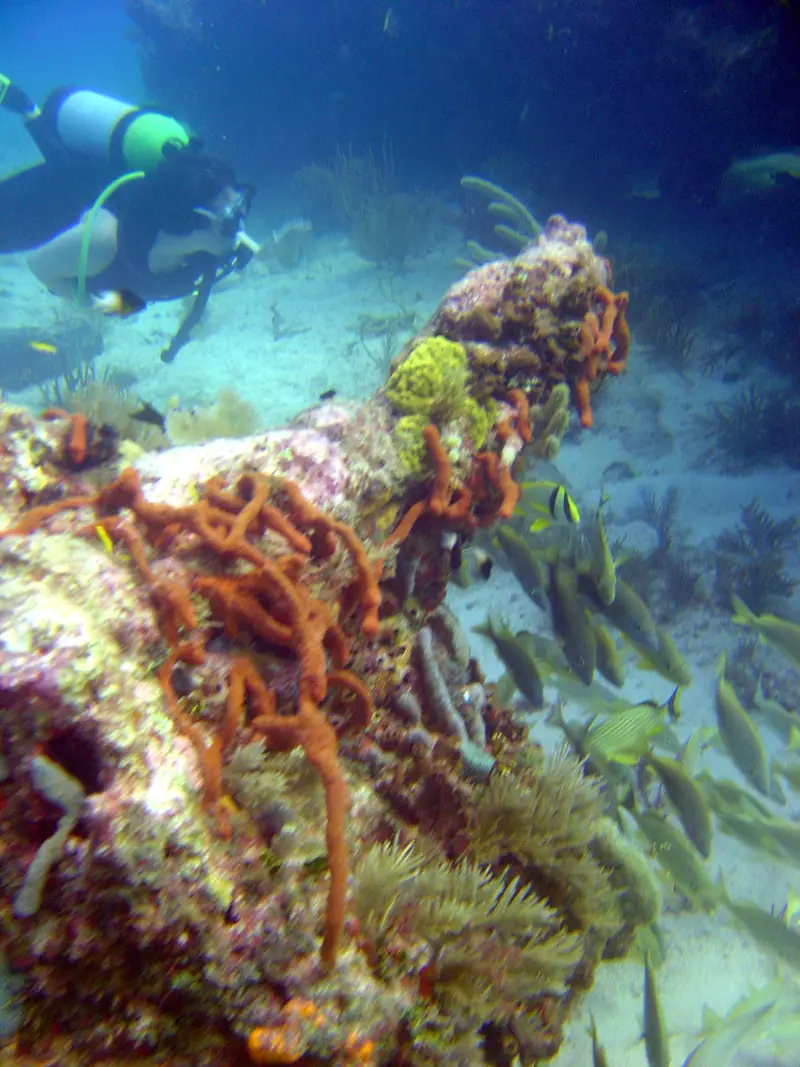 The Florida Keys