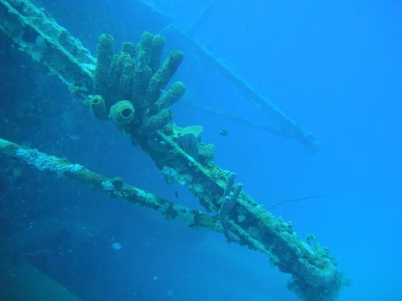 Hilma Hooker