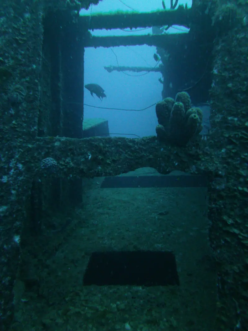 HilmaHooker Wrek Wheelhouse Swimthru