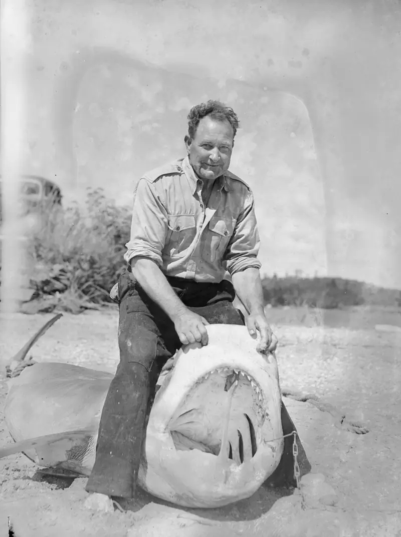 Man holding open a shark's mouth (AM 84601-1)