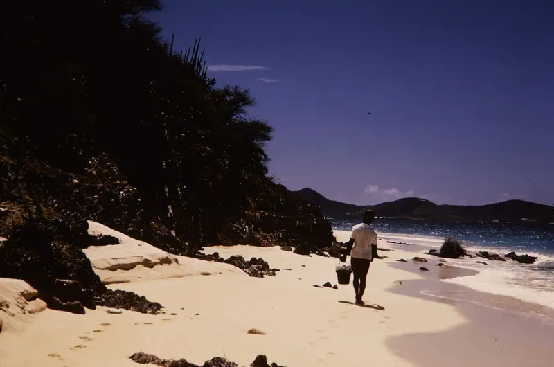 Visitor walking along a beach at Buck Island Reef National Monument. (d409af3f94ad420f9282fa0a8fc6c5d0)
